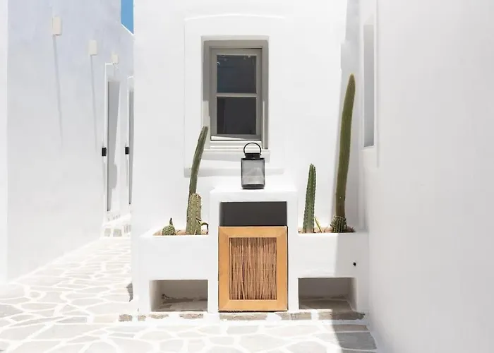 Swell S11 New In 公寓