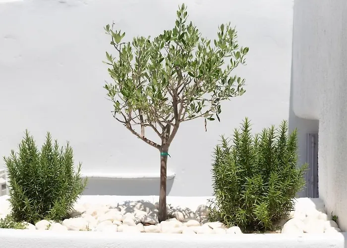 Swell S11 New In 公寓 *