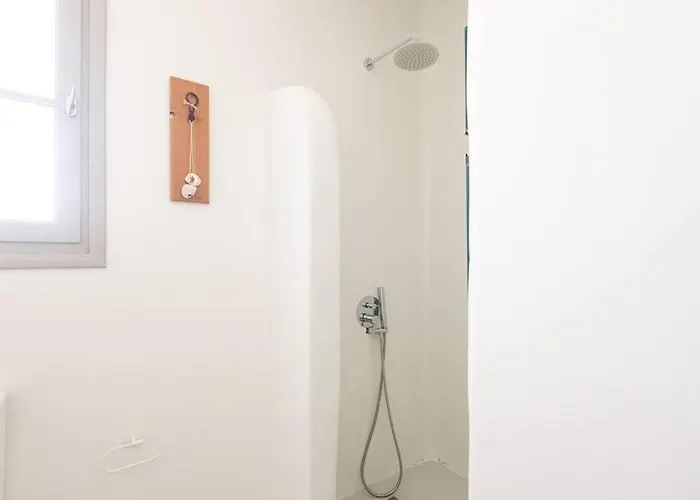 Swell S11 New In * 纳乌萨