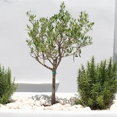 Swell S11 New In Διαμέρισμα *